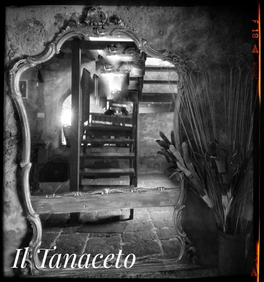 Il Tanaceto Hotel Castiglione De Sicilia Bagian luar foto