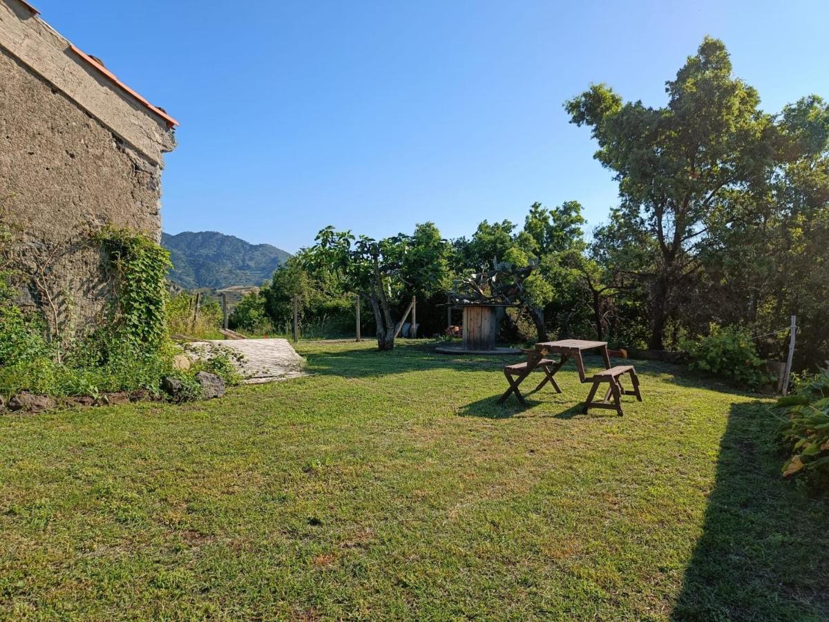 Il Tanaceto Hotel Castiglione De Sicilia Bagian luar foto