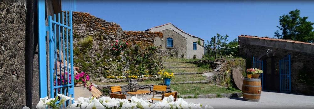 Il Tanaceto Hotel Castiglione De Sicilia Bagian luar foto